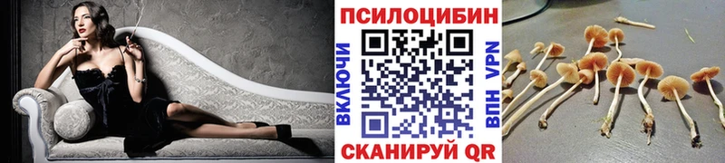 Галлюциногенные грибы Cubensis  Гусь-Хрустальный 
